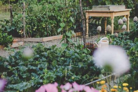 Harvest Garden Design Ideas Image